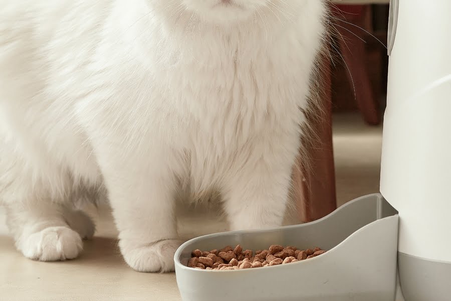 Feed Me Evcil Hayvan Besleyici Feed Me Evcil Hayvan Besleyici